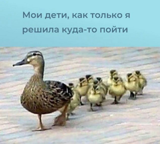Мои дети как только я решила кудато пойти