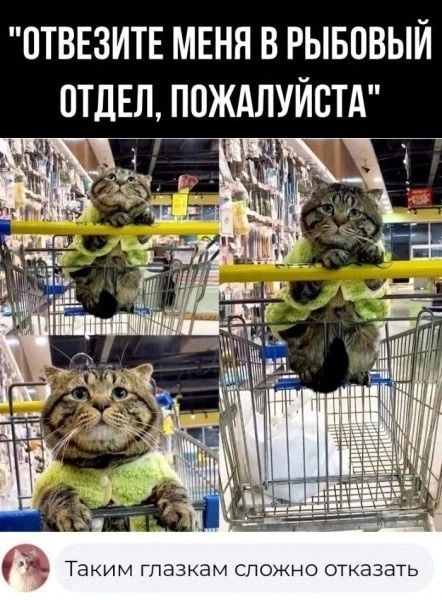 ОТВЕЗИТЕ МЕНЯ В РЫБОВЫЙ ОТДЕЛ ПОЖАЛУЙСТА её Таким глазъзм СЛОЖНО откачать
