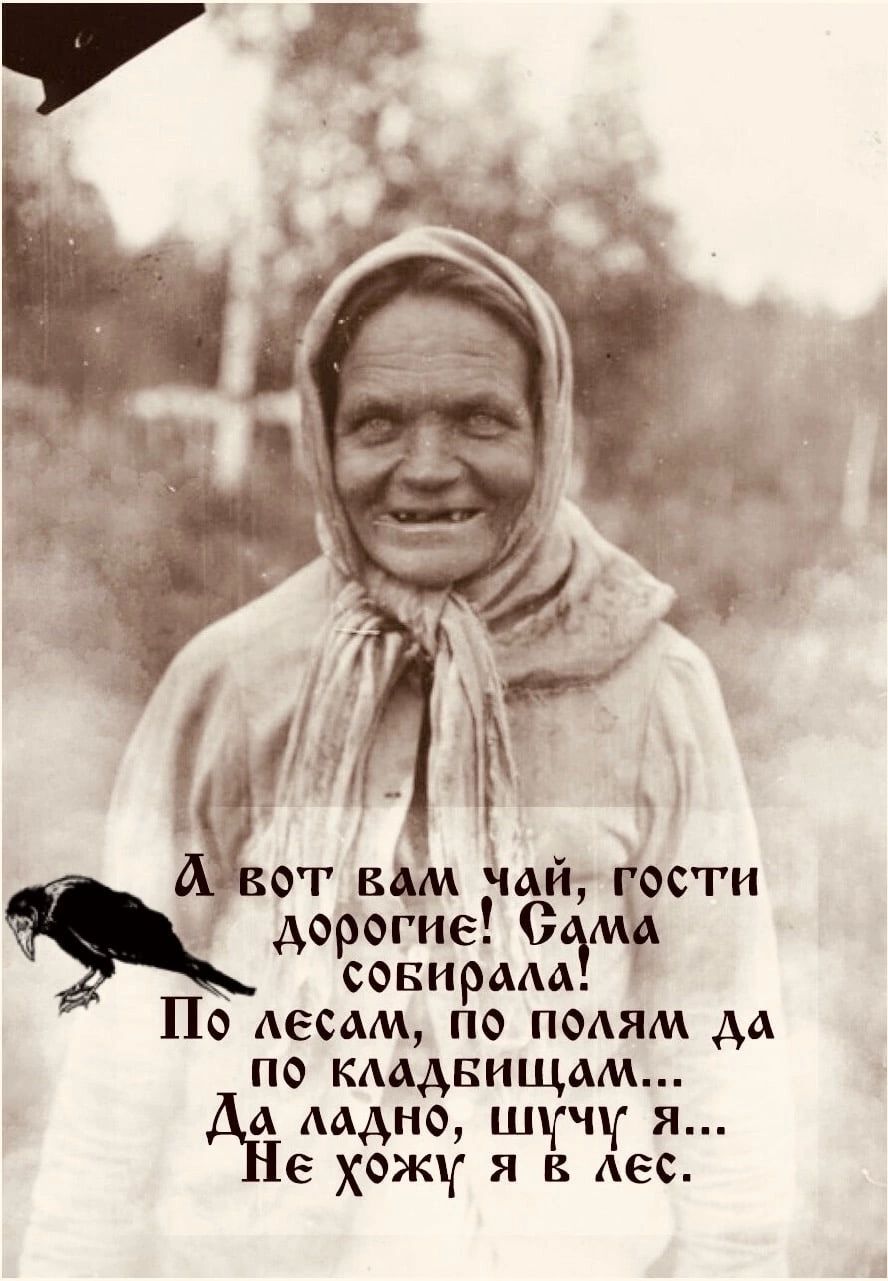 от вдм мй ости дор огие 05 СОБИР ААА По лесам по полям да по кмднищам и ладно шучу я е хожу я в лес