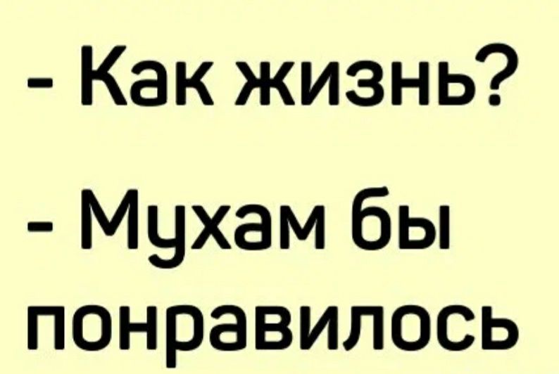 Как жизнь Мухам бы понравилось