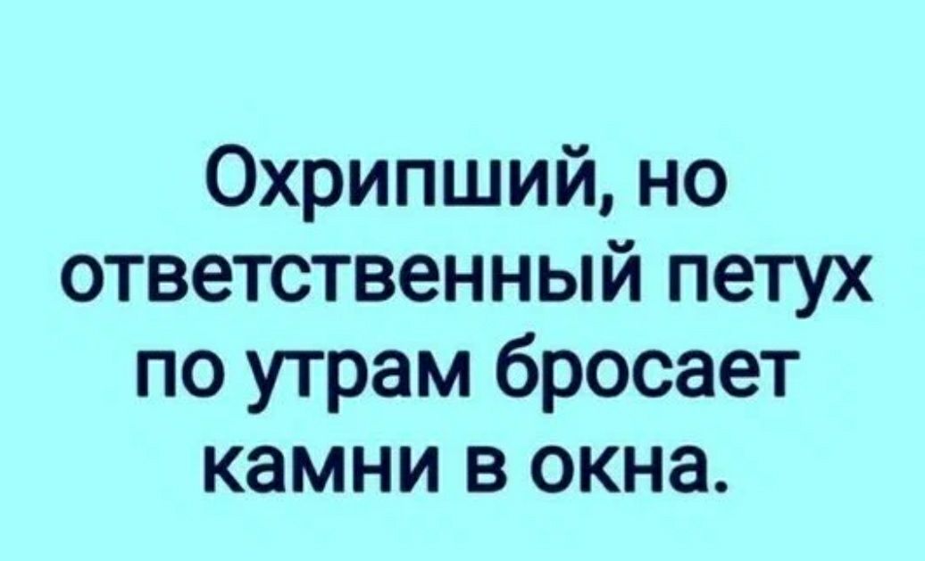 Охрипший но ответственный петух по утрам бросает камни в окна