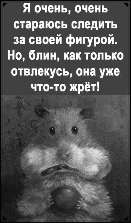 Я очень очень стараюсь следить за своей фигурой Но блин как только отвлекусь она уже что то жрёт