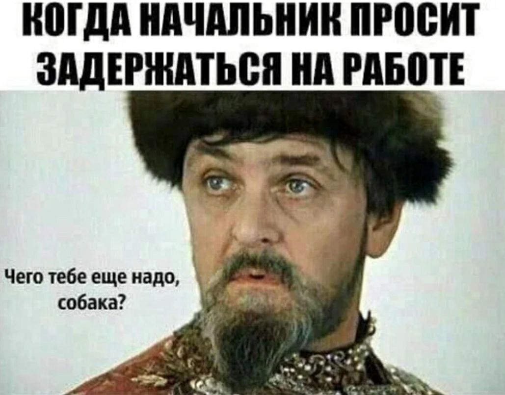 ШШШ НАЧАЛЬНИК ПРПБИТ ЗАДЕРШАТЬВП нд РАБПТЕ Чего тебе еще надо собака