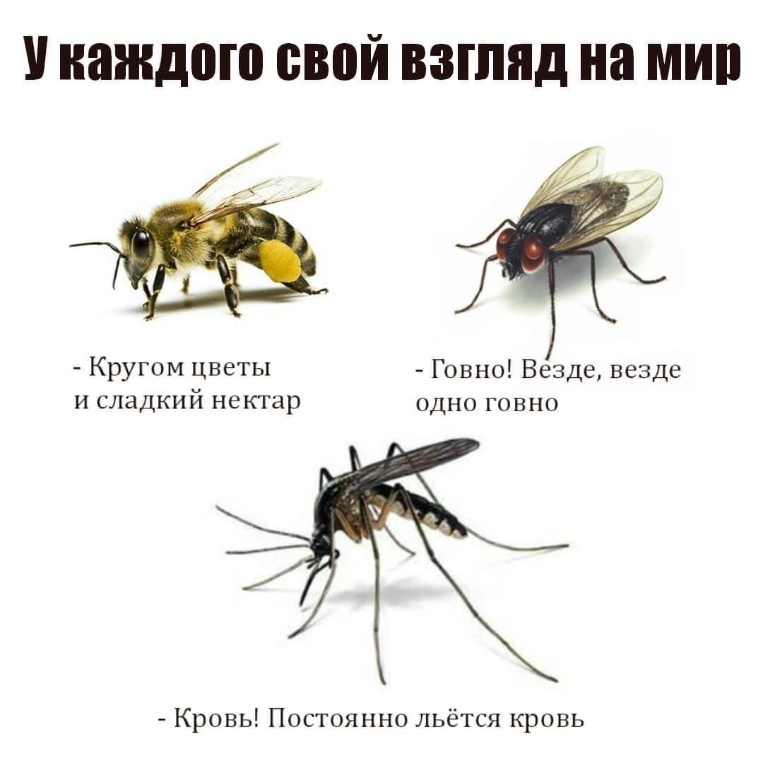 У ШШШПЮ свой ВЗГЛЯД на МШ Круп нм цнсгы Гошю Везде Везде и дкий мы Кровь Пощопннп льется кровь