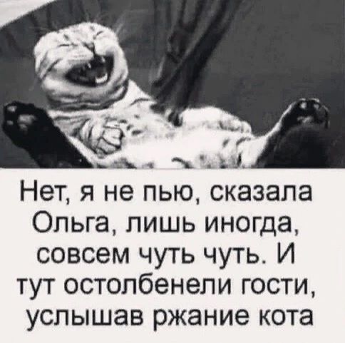 А Нет я не пью сказала Ольга лишь иногда совсем чуть чуть И тут остопбенепи гости услышав ржание кота