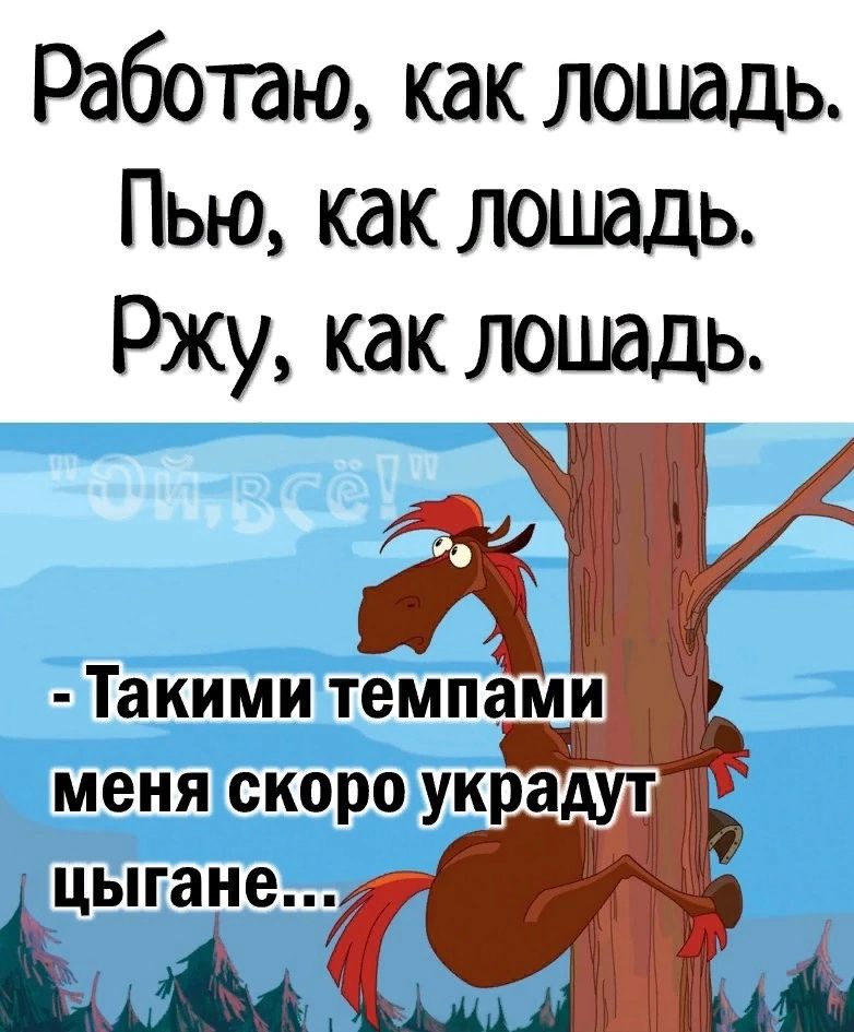 Работаю как лошадь Пью как лошадь Ржу как лошадь Такими темпами меня скоро украдут цыгане