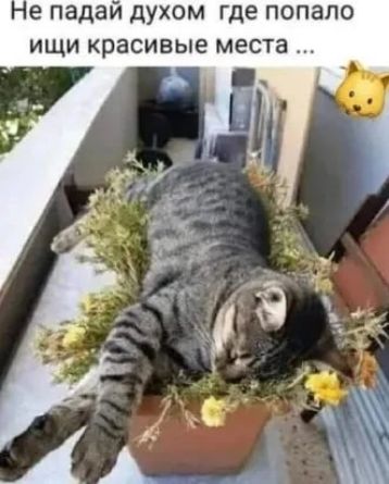 е ПЗДЗИ дУХОМ где попало ИЩИ красивые места