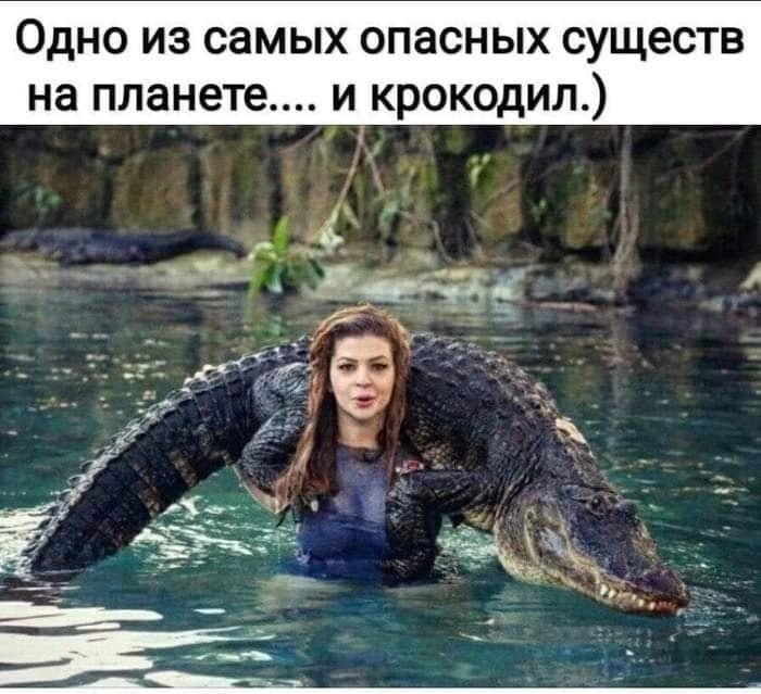 Одно из самых опасных существ на планете и крокодил
