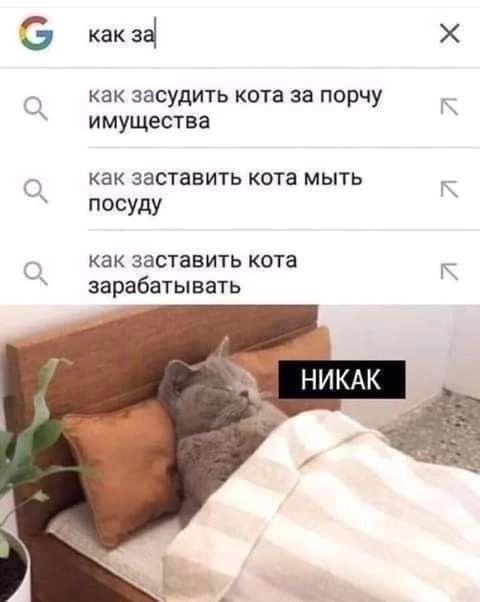 как зі КВК ЗЭСУДИТЬ кота за порчу имущества как заставить кота мыть посуду как заставить кота зарабатывать