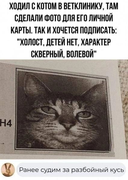 ходил с котом в ветклинику тАм СДЕЛАЛИ шото для ЕП личной кдрты тдк и хочпся пплписАтЬ холост лпвй нп ХАРАКТЕР сквврный ВППЕВПЙ 134 д11 _ Ранее судим за разбоиныи кусь
