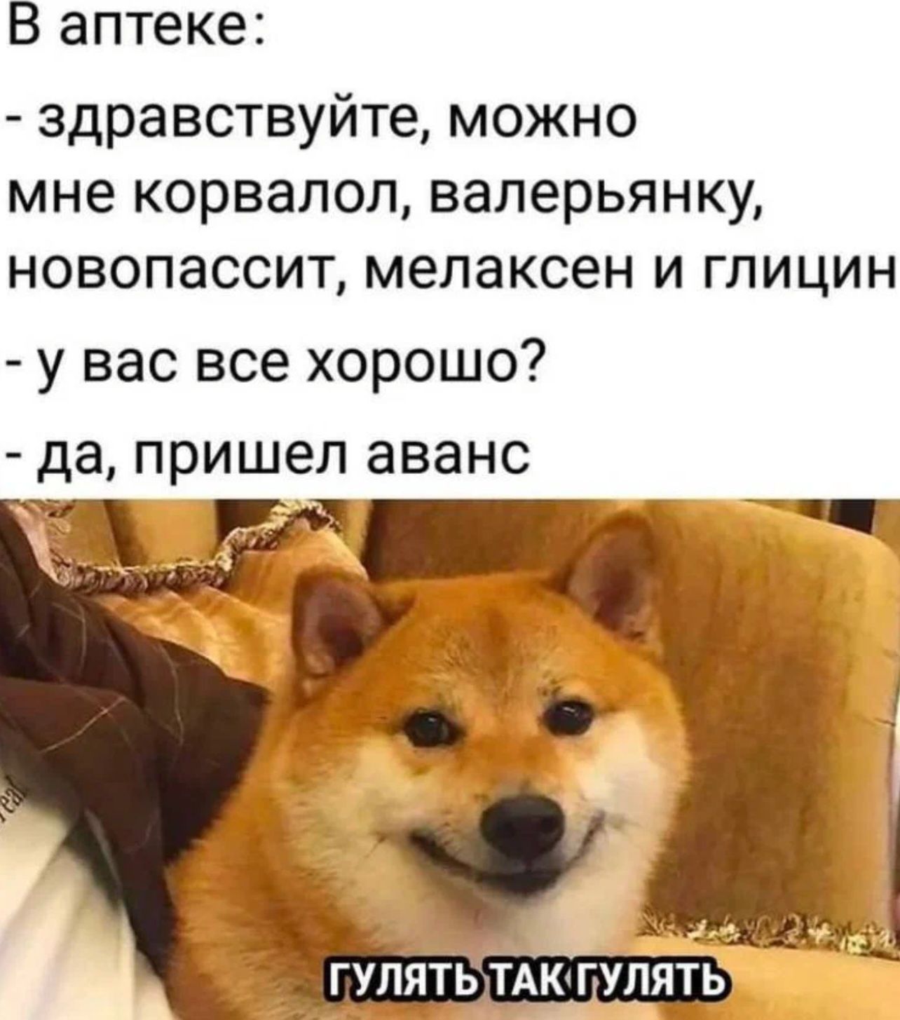 В аптеке здравствуйте можно мне корвалол валерьянку новопассит мелаксен и глицин у вас все хорошо да пришел аванс ь А УПЯТЬ ТАКГУЛЯТЬ