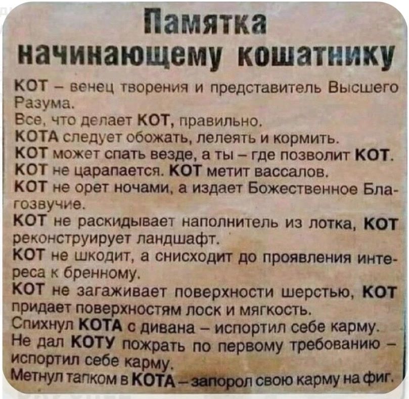 Памятка начинающему кошатиику кот вечец гворения и представитель Высшего Разума Всв что делает КОТ правильно КОТА следует обожать лелеять и кормить КОТ может спать везде а ты гда позволит КОТ КОТ ие царапается КОТ метит вассалов кот не орет ночами в издает Божественное Бле гоавучив кот не раскидывавт напилиитель из лота КОТ реконструируе ландшафт КОТ е шкодит а снисходит проявления ипо роса к брен