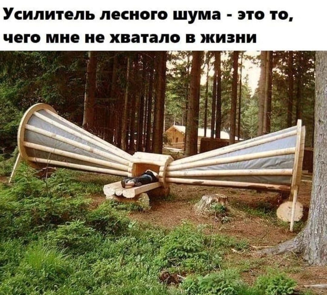 УСИЛИТЕЛЬ ЛЕСНОГО шума ЭТО ТО