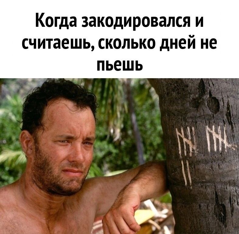 Когда закоди ровался и считаешь сколько дней не пьешь