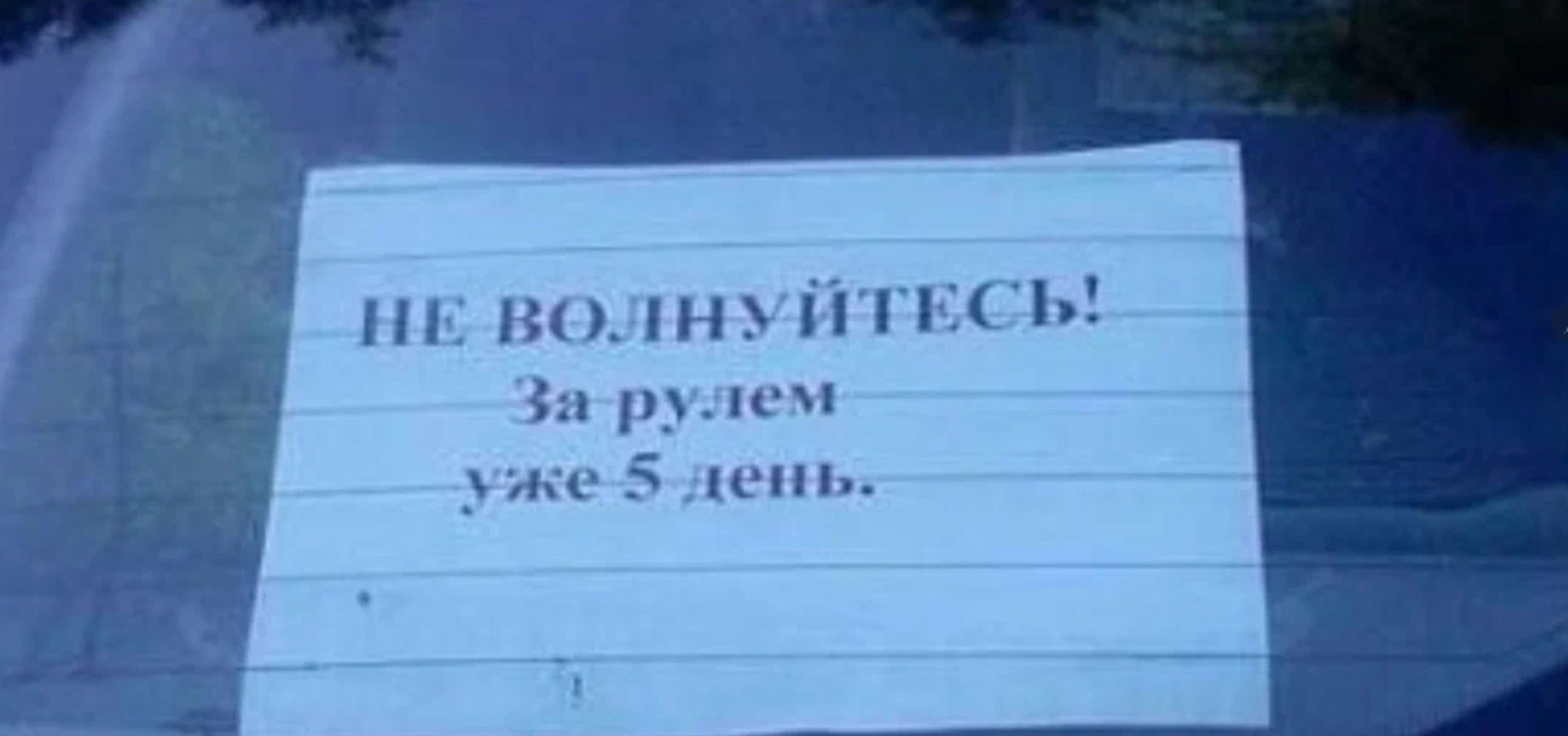 на по п с шим