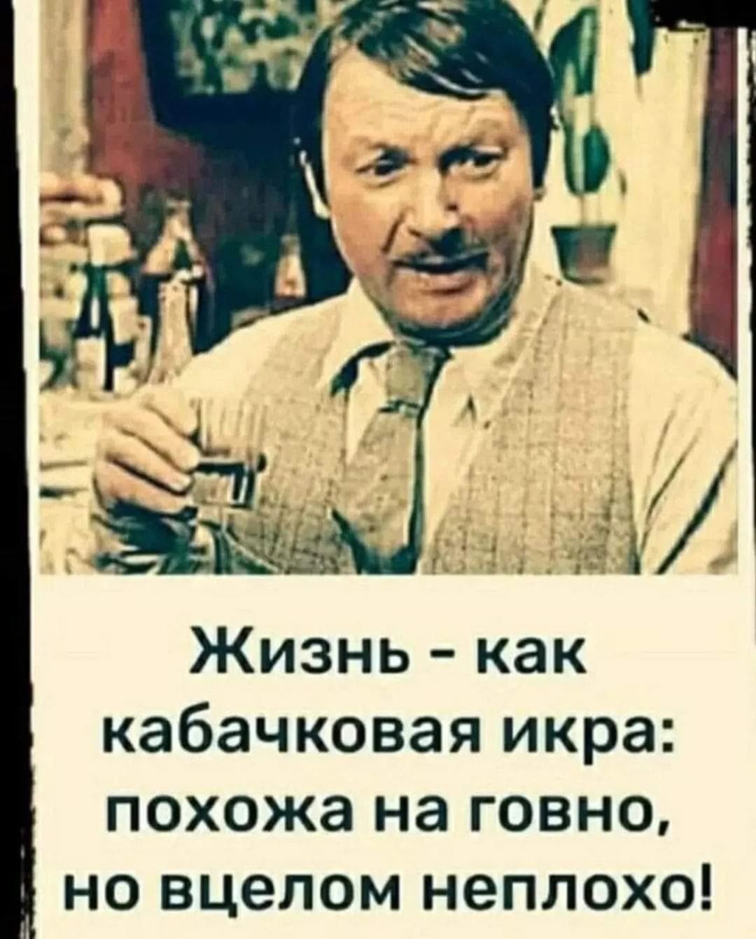 Жизнь как кабачковая икра похожа на говно но вцелом неплохо