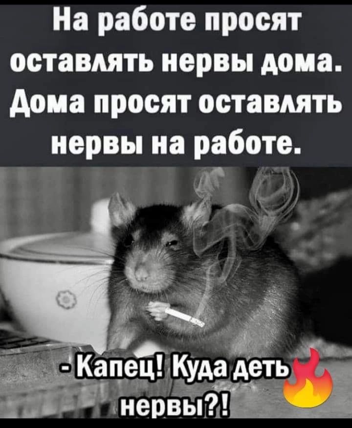 На работе просят оставлять нервы дома Аоиа просят оставлять нервы на работе 45 ЗЁН капец КУАа Аеть нервыЫ