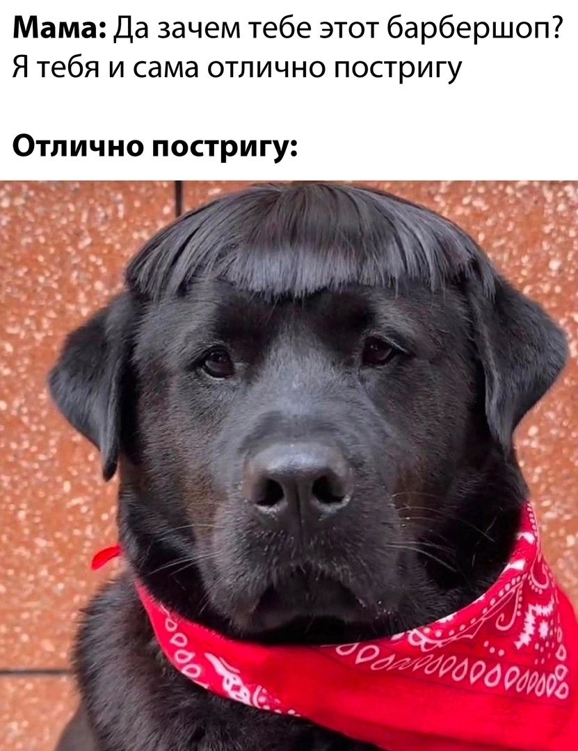 Мама Да зачем тебе этот барбершоп Я тебя и сама отлично постригу Отлично постригу