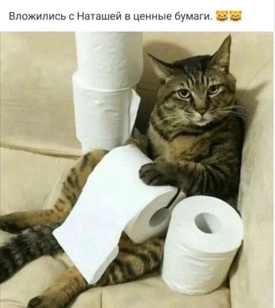 Впожипись с Наташви в ценные бумаги _