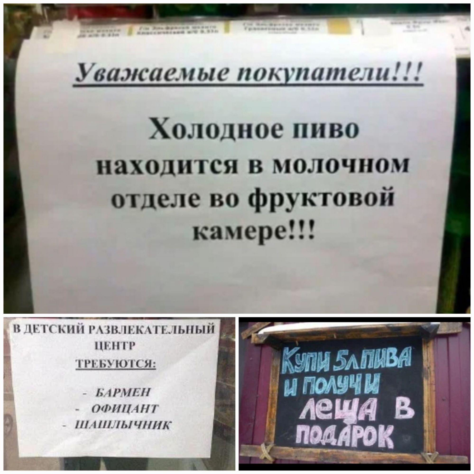 н Уважаемые КПНЦП Холодное пиво находится в молочном отделе во фруктовой камере и и н щшпмн нап пн н и нн мп