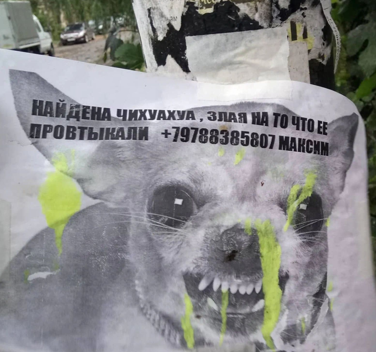 Щдш чихпхи алии игпвтышши штанги