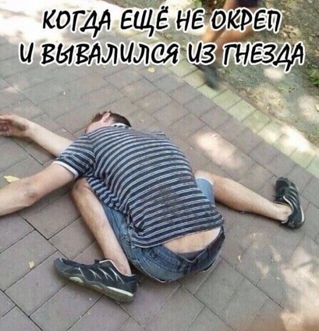 коич ещё нёёю ёгЁ и вывдлился жиз733 ЁЁ _ёхд