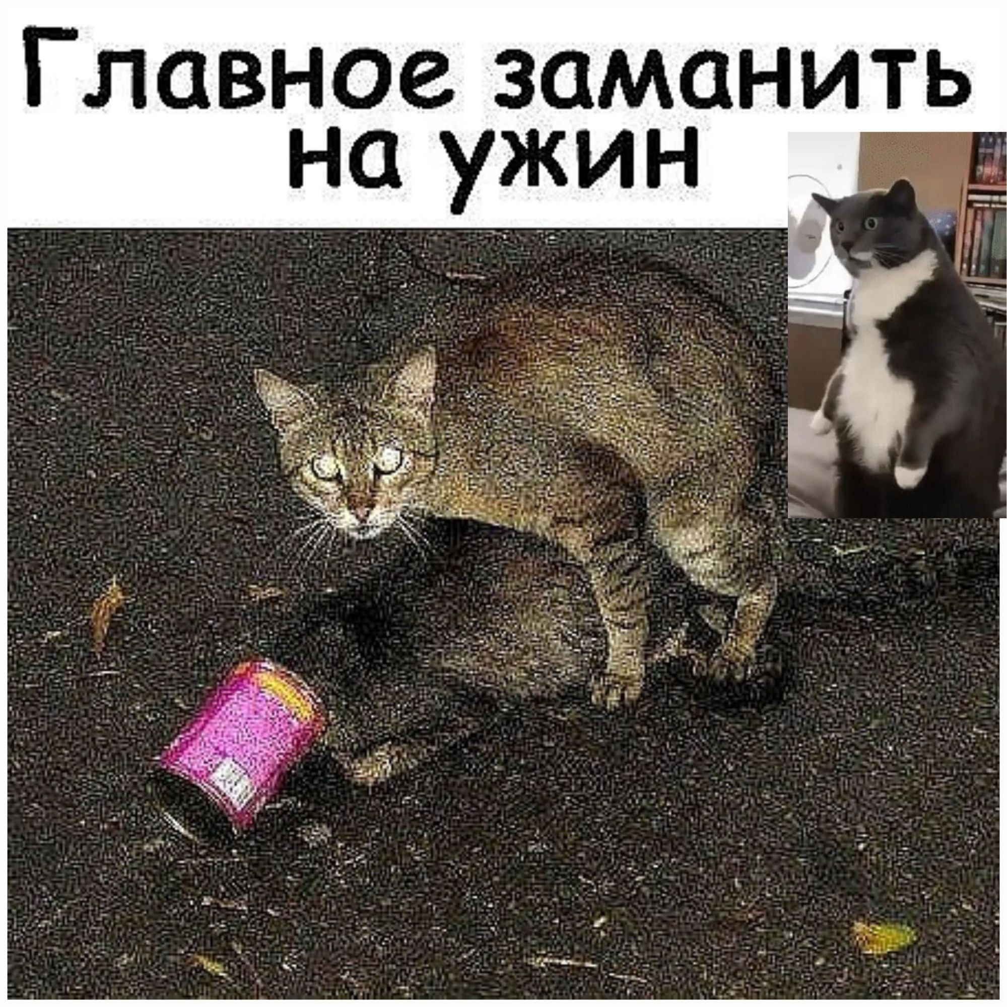 Главное заманить на ужин