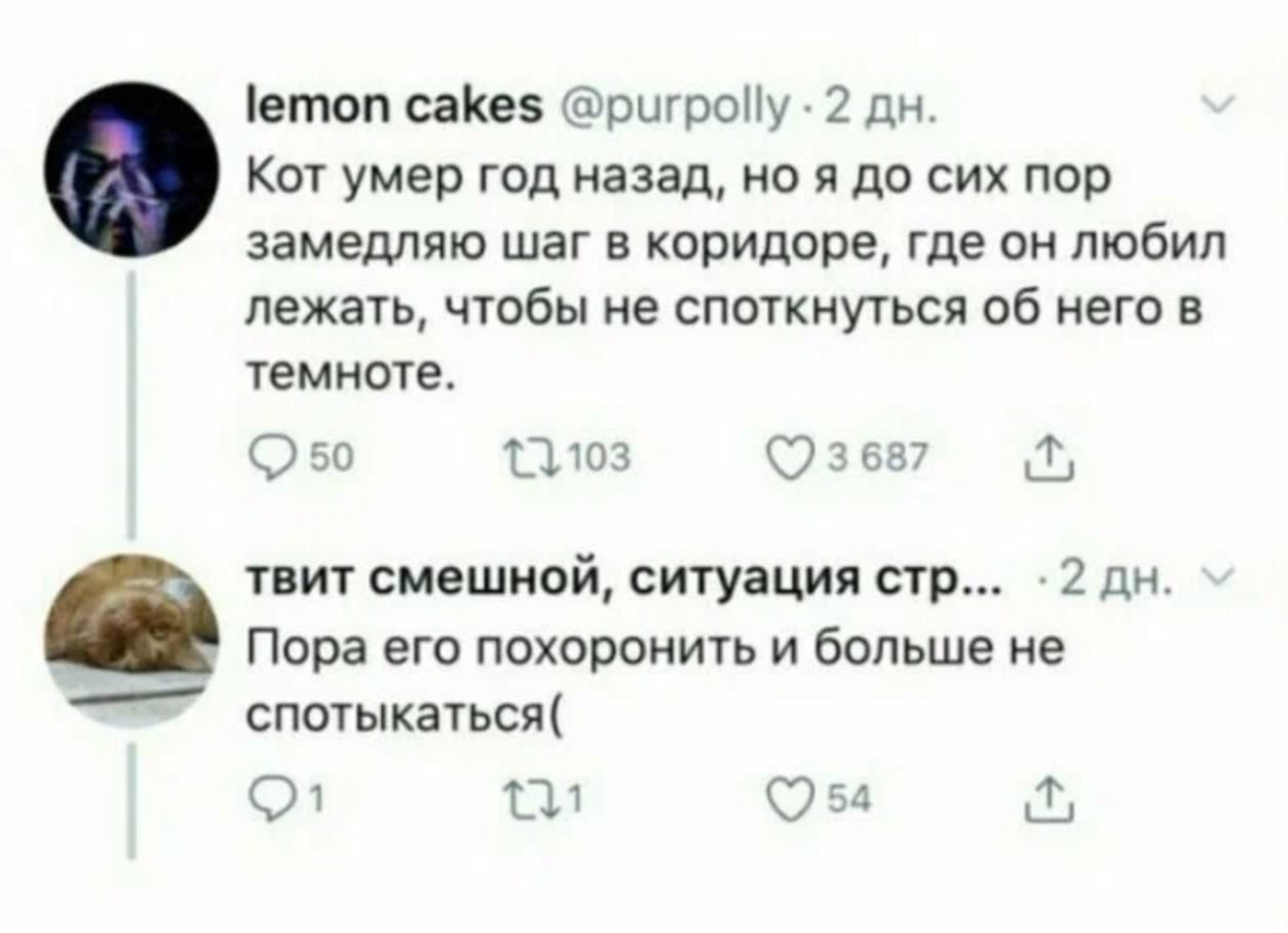 іетоп сани ршропу 2 дн Кот умер год назад но я до сик пор замедляю шаг в коридоре где он любил лежать ЧТОБЫ не СПОГКНУЬСЙ Об НЕГО В темноте О 50 Ш щз шит смешной ситуация стр 2 дн Пора его похсроничь и больше не спотыкаться О П ОЗ