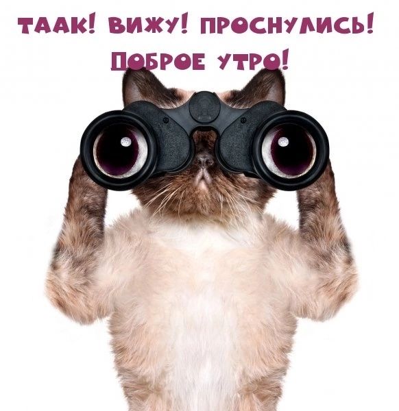 ГААК вижу просились го пр