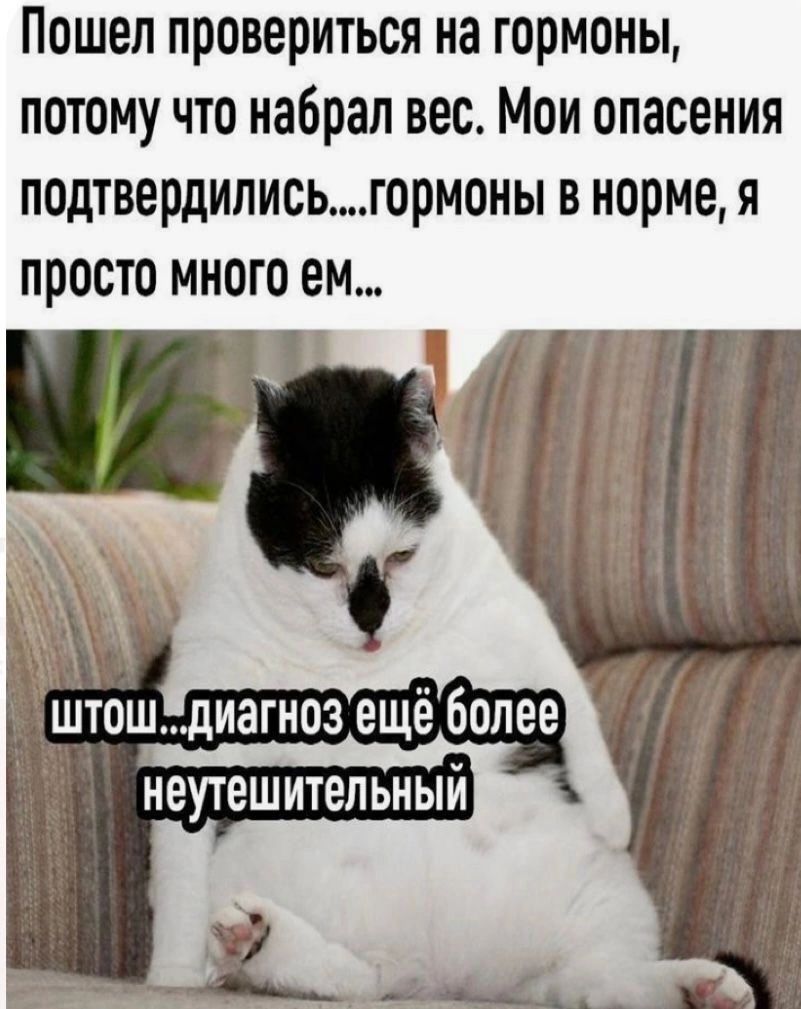 Пошел провериться на гормоны потому что набрал вес Мои опасения подтвердилисьгормоны в норме я просто много ем