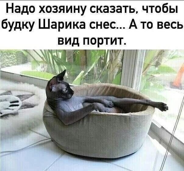 Надо хозяину сказать чтобы будку Шарика снес А то весь вид портит