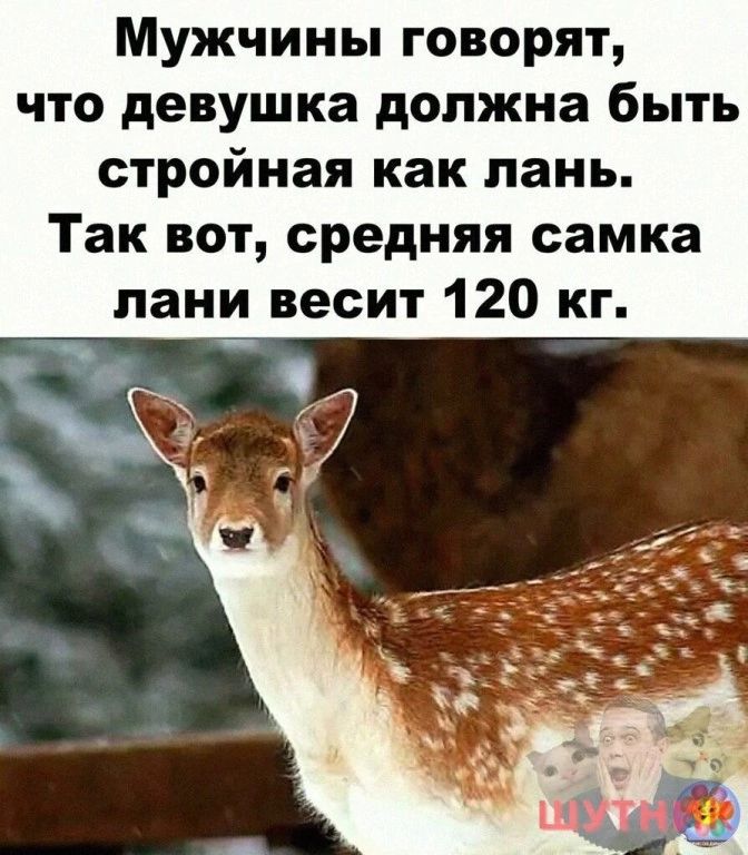 Мужчины говорят что девушка должна быть стройная как пань Так вот средняя самка пани весит 120 кг