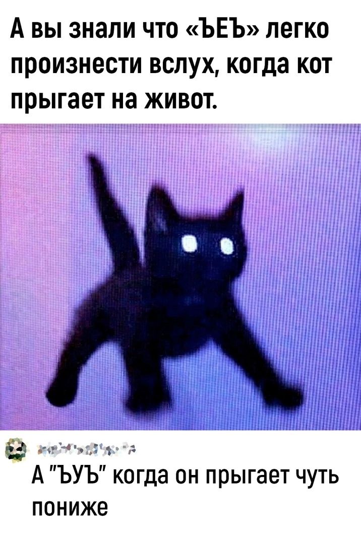 А вы знали что ЪЕЪ легко произнести вслух когда кот прыгает на живот А ЪУЪ когда он прыгает чуть ПОНИЖВ