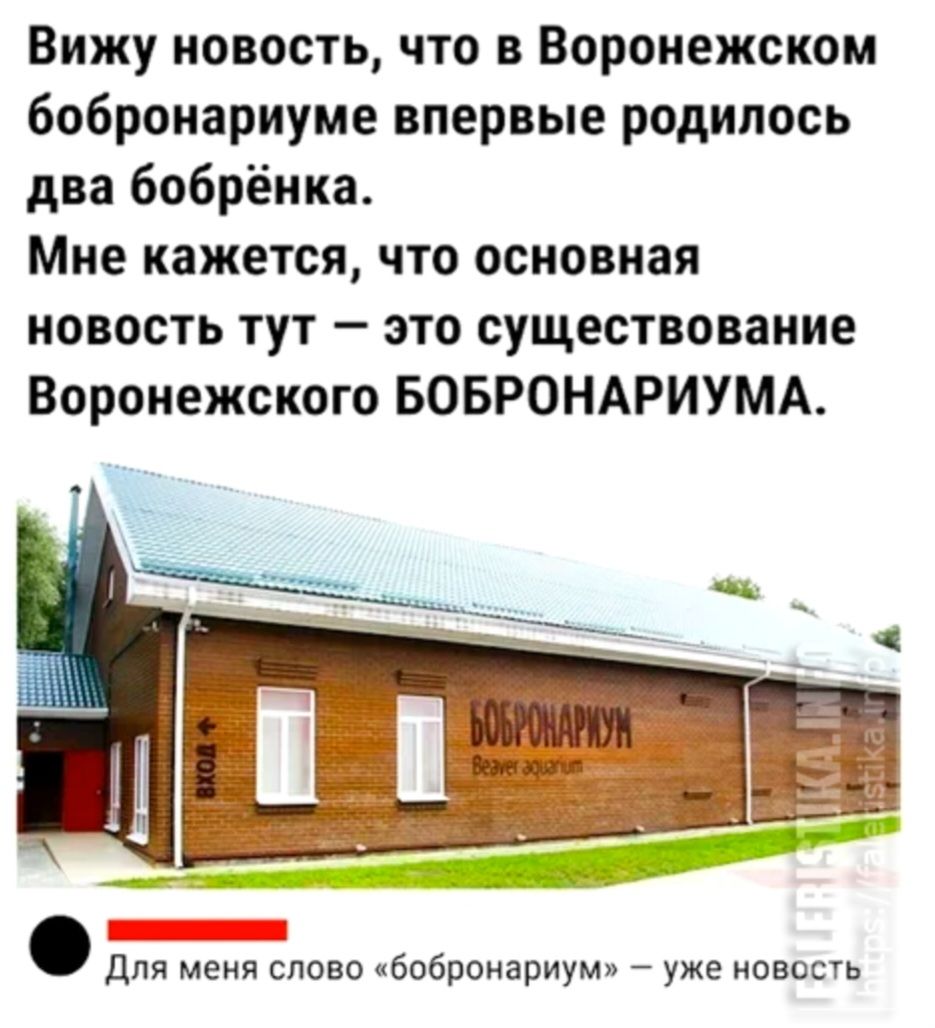 Вижу новость что в Воронежском бобронариуме впервые родилось два бобрёнка Мне кажется что основная новость тут это существование Воронежского БОБРОНАРИУМА для меня слово бобропариум уже овость