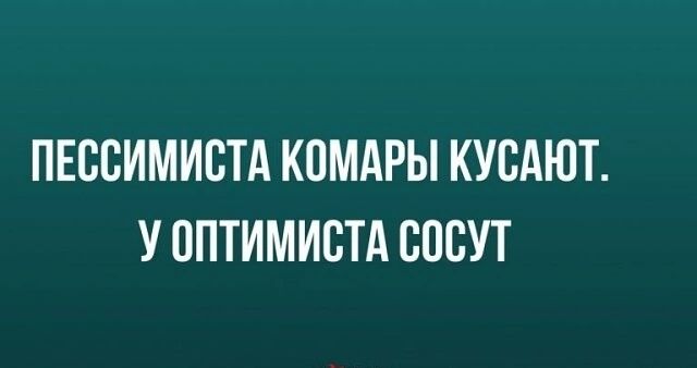 ПЕБВИМИБТА КОМАРЫ КУБАЮТ У ППТИМИБТА СОСУТ