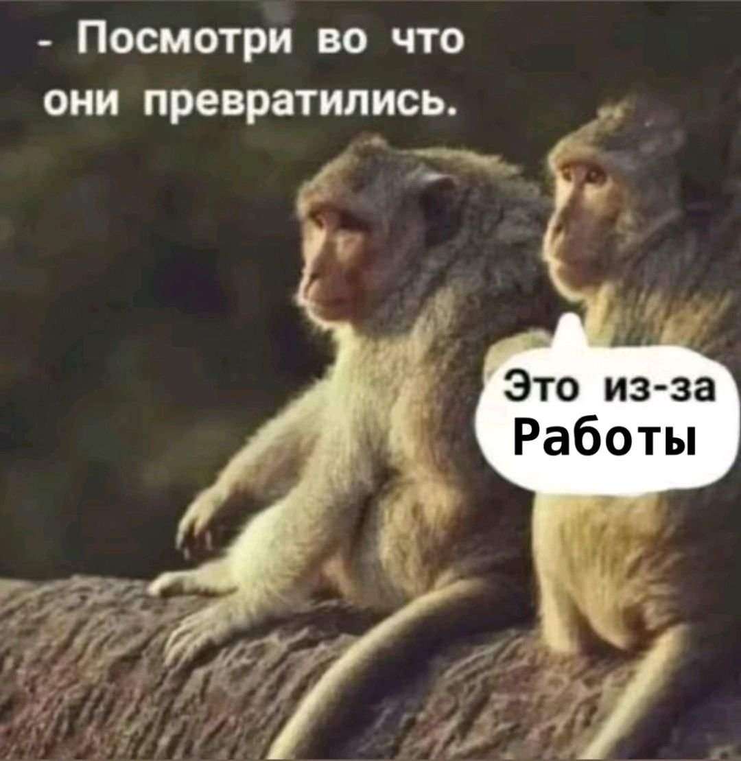 Посмотри во что они превратились _ Это из за Работы