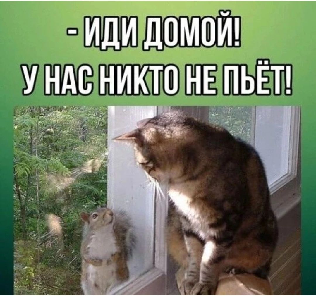 пищащий У НдВ НИКТО НЕ ПЬЁТ 1