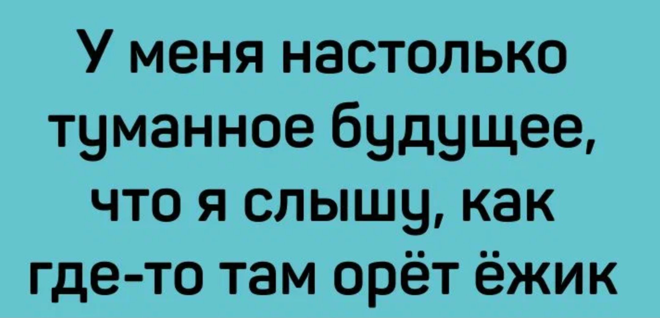 У меня настолько туманное будущее что я слышу как где то там орёт ёжик