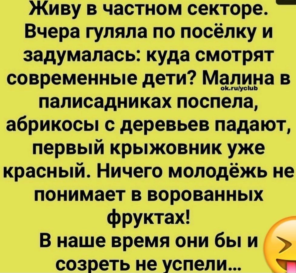 Живу в частном секторе _ Вчера гуляла по посёлку и задумалась куда смотрят современные дети Мадина в палисадниках поспела абрикосы с деревьев падают первый крыжовник уже красный Ничего молодёжь не понимает в ворованных фруктах В наше время они бы и созреть не успели