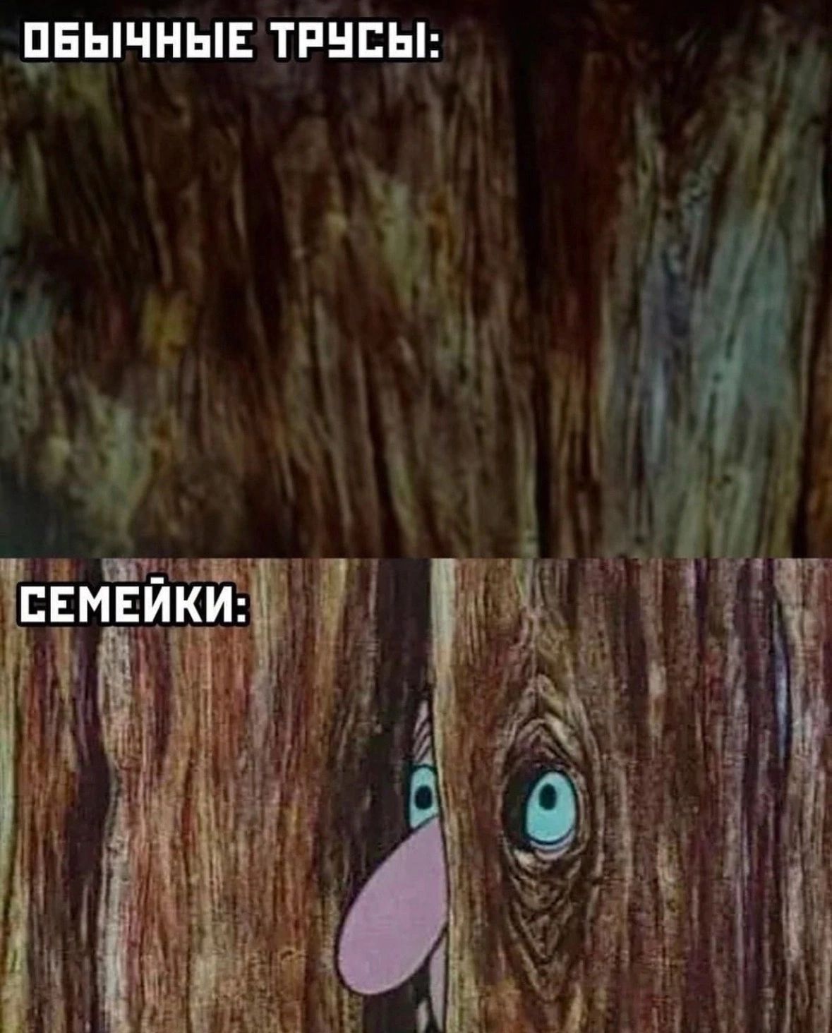 П_ЕЬНЫЕ ТРНЕЫ