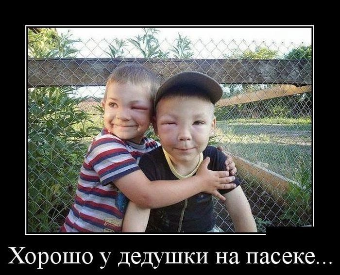 Хорошо у дедушки на пасеке