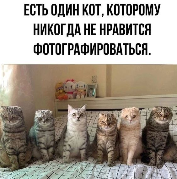ЕСТЬ ОДИН КВТ КПТПРОМУ НИКОГДА НЕ НРАВИТСЯ ФПТПГРАФИРПВАТЬБН