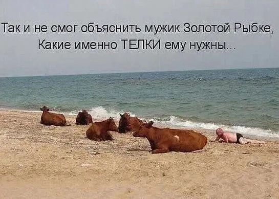 Так и не смог объяснить мужик золотой Рыбке Какие именно ТЕПКИ ему нужны