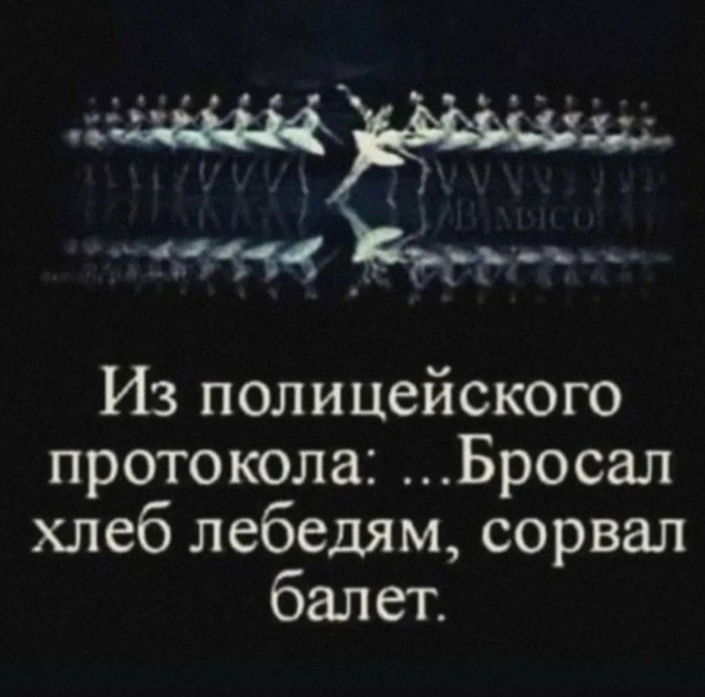 Из полицейского протокола Бросал хлеб лебедям сорвал балет