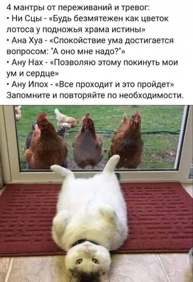 4 мантры от переживаний и тревог НИ СЦы Будь безмятежен как цветок потоса у подножья храма истины Ана Хуа Спокойствие ума достигается вопросомг А она мне надо Ану Нах Позвопяю этому покинуть мои ум и сердце Ану Ипох Все проходит и это пройдет Запомните и повторяйте по необходимости