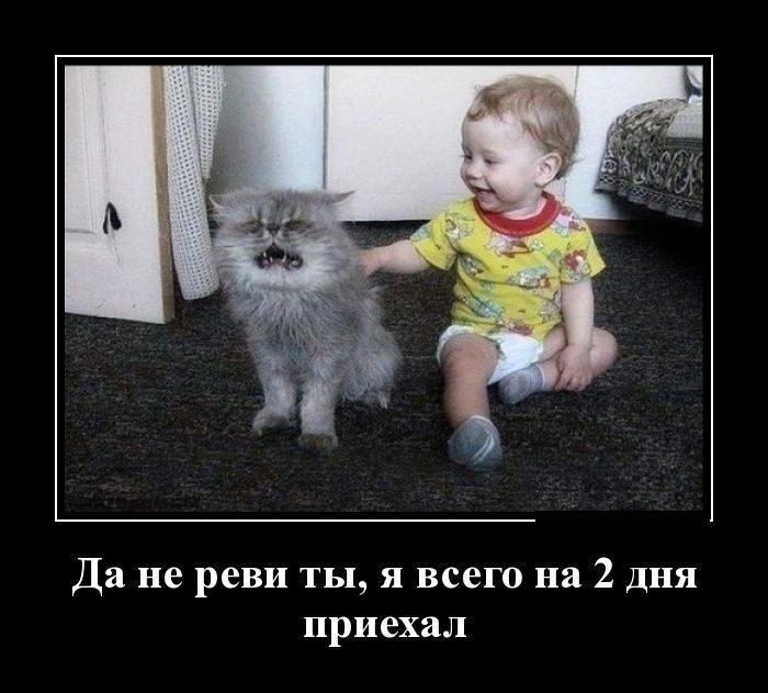 Да не реви ты я всего на 2 дня приехал