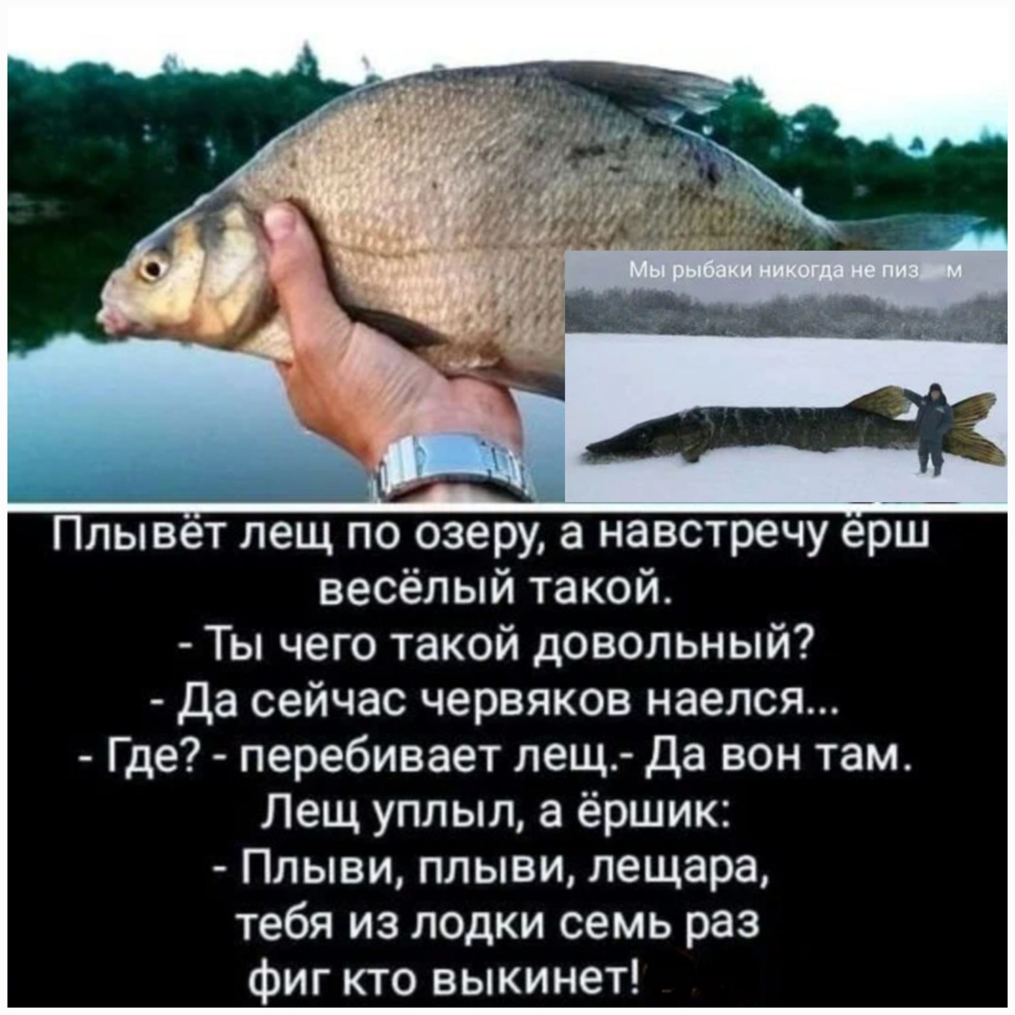 Плывет лещ по озеру а навстречу ерш весёлый такой Ты чего такой довольный Да сейчас червяков наелся Где перебивает лещ Да вон там Лещ уплыл а ёршик Ппыви плыви лещара тебя из лодки семь раз фиг кто выкинет