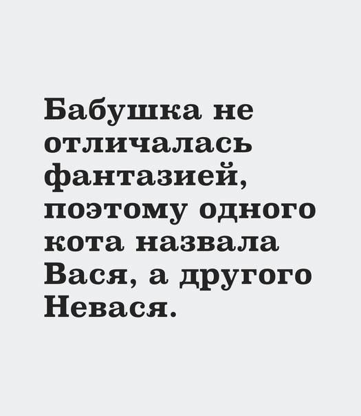 Бабушка не отличалась фантазией поэтому одного нота назвала Вася а другого Невася