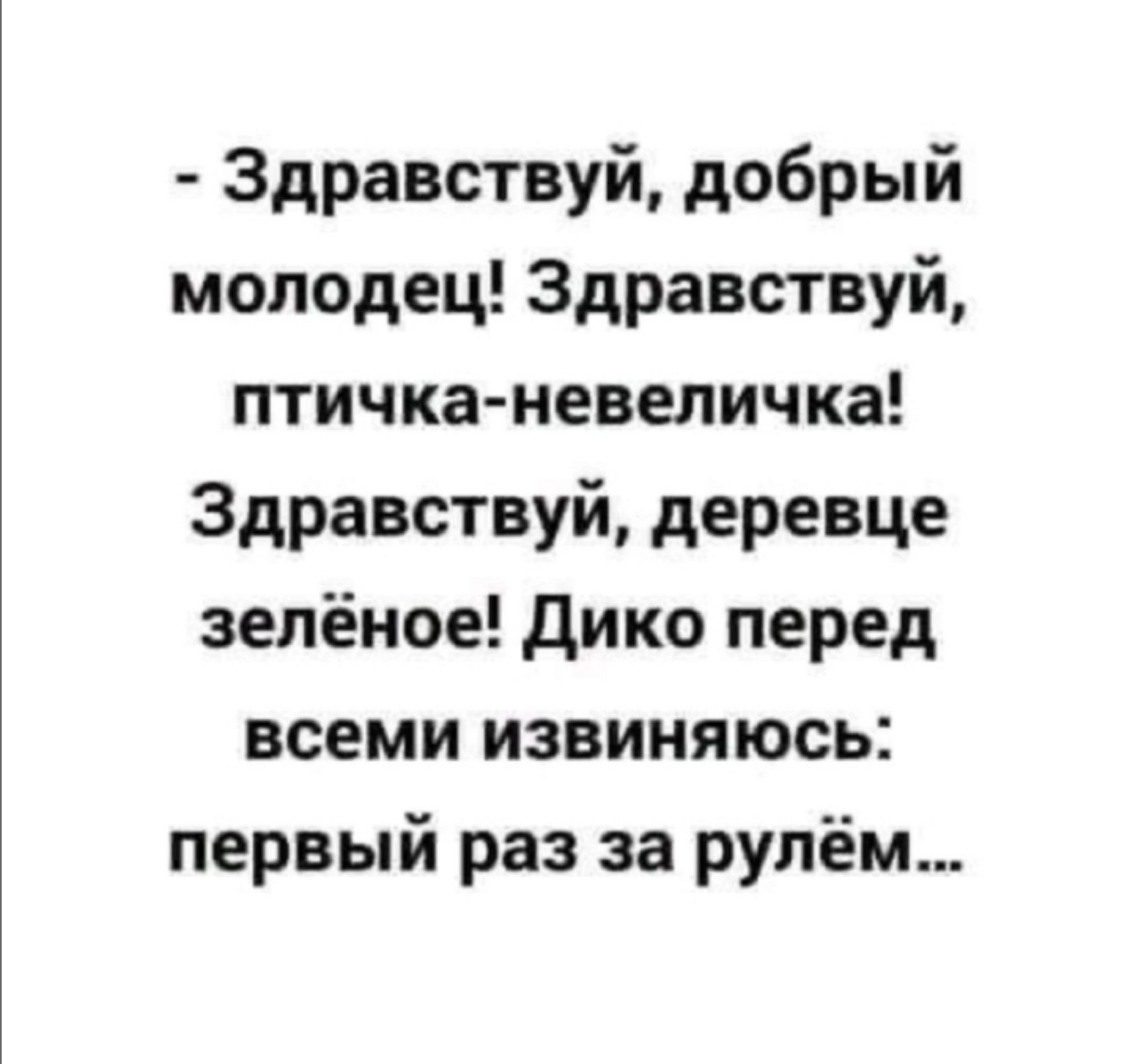 Здравствуй добрый молодец Здравствуй птичка невеличка Здравствуй деревце зелёное дико перед всеми извиняюсь первый раз за рулём