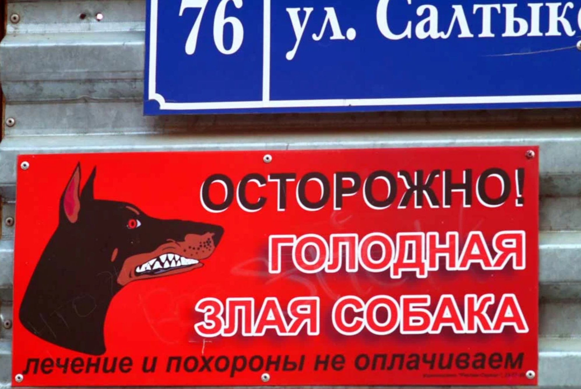 _ 76 УА изпыщ о киш есчо і ГФЛФДНАЯ я і СБАКА1